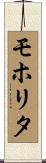 モホリタ Scroll