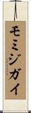 モミジガイ Scroll