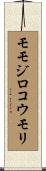 モモジロコウモリ Scroll