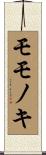 モモノキ Scroll