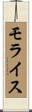 モライス Scroll