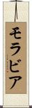 モラビア Scroll
