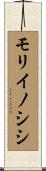 モリイノシシ Scroll