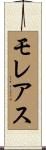 モレアス Scroll