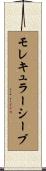 モレキュラーシーブ Scroll