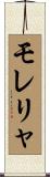 モレリャ Scroll