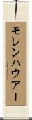 モレンハウアー Scroll