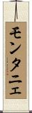 モンタニェ Scroll