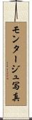 モンタージュ写真 Scroll