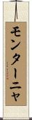 モンターニャ Scroll