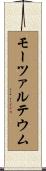 モーツァルテウム Scroll