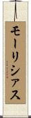 モーリシァス Scroll