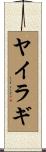 ヤイラギ Scroll