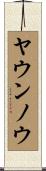 ヤウンノウ Scroll