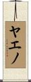 ヤエノ Scroll