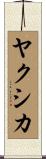 ヤクシカ Scroll