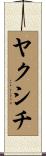 ヤクシチ Scroll