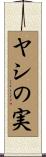 ヤシの実 Scroll