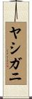 ヤシガニ Scroll
