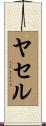ヤセル Scroll