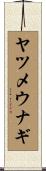 ヤツメウナギ Scroll