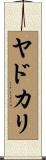 ヤドカリ Scroll