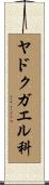 ヤドクガエル科 Scroll