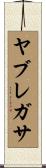 ヤブレガサ Scroll
