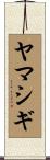 ヤマシギ Scroll