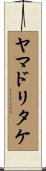 ヤマドリタケ Scroll