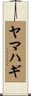 ヤマハギ Scroll