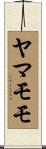 ヤマモモ Scroll