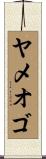 ヤメオゴ Scroll