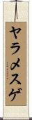 ヤラメスゲ Scroll