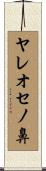 ヤレオセノ鼻 Scroll