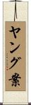 ヤング案 Scroll