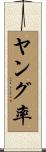 ヤング率 Scroll