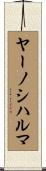 ヤーノシハルマ Scroll