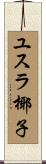 ユスラ椰子 Scroll