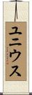 ユニウス Scroll