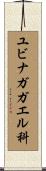 ユビナガガエル科 Scroll
