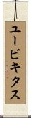 ユービキタス Scroll