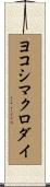 ヨコシマクロダイ Scroll