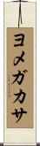 ヨメガカサ Scroll