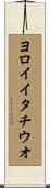 ヨロイイタチウオ Scroll