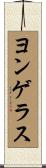 ヨンゲラス Scroll