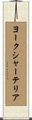 ヨークシャー・テリア Scroll