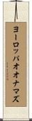 ヨーロッパオオナマズ Scroll