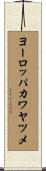 ヨーロッパカワヤツメ Scroll