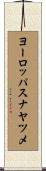 ヨーロッパスナヤツメ Scroll